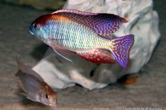 53139473_1232056096932967_6192007853327253504_o