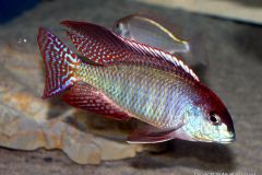 53155101_1232056170266293_3176609858535292928_o