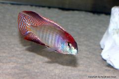 53160169_1232055863599657_3494698881688535040_o