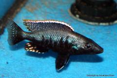 53226739_1232057463599497_2623304529055055872_o