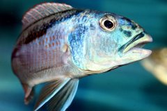 58019512_1265932123545364_5491221318361677824_o