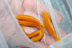 61551972_1289419294529980_4469964544474611712_o