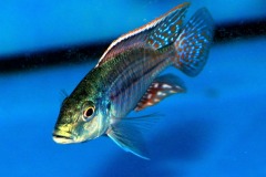 69621327_1359331634205412_1219207508707508224_o