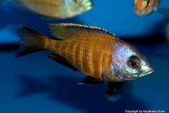 69694151_1359332417538667_1768721885303930880_o