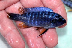 70154890_1359331924205383_4489387434559143936_o