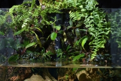 006_2013_biotope_aquarium_e_4_1-660x1024 006_2013_biotope_aquarium_e_4_1-660x1024