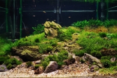 007_2013_biotope_aquarium_e_5_1-1024x472 007_2013_biotope_aquarium_e_5_1-1024x472