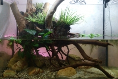 057_2013_biotope_aquarium_a_15_1-1024x737