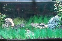 099_2013_biotope_aquarium_sa_34_1-1024x475