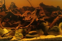 041_biotope-aquarium_e-9-1-1024x305