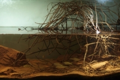 2015_biotope_aquarium_e_20_1-1024x394 2015_biotope_aquarium_e_20_1-1024x394