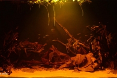 Black_water_stream_of_the_Rio_Negro_1-1024x471