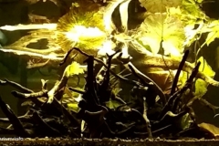 Blackwater_setup_at_Sedili_Johor_Malaysia_1-1024x520