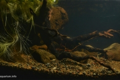 Calm_waters_of_Serayu_Tributary_Wonosobo_Indonesia_1-1024x564