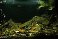 Central_America_Costa_Rica_rivers_coasts_1-1024x534