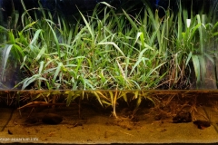 Kan_kou_River_Estuary_Pingtung_County_Taiwan_1-1024x634