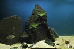 Kigoma_Edith_Bay_Lake_Tanganyika_Tanzania_1-1024x605