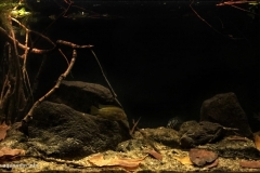 Lake_Amatitlan_near_Guetemala_eastern_coast_of_Central_America_1-2-1024x581