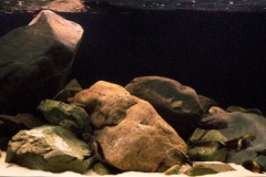 Lake_Tanganyika_northwest_coast_near_the_town_of_Uvira_Democratic_Republic_of_the_Congo_1-1024x276