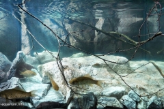Marble_quarry_Ruskeala_mountain_park_Republic_of_Karelia_Russia_1-1024x580