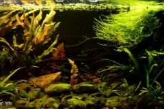 Mountain_creek_near_Li_river_in_Guangxi_China_1-1024x481