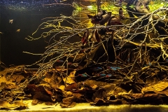 River_Ucayali_Arequipa_Region_Peru_1