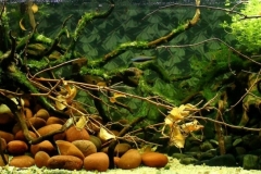 River_bank_Inle_Lake_Hopong_Myanmar_1-1024x362