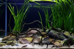 Slow_stream_north_Han_river_basin_Gapyeong_Gyeonggi_do_Province_Korea_1-1024x573