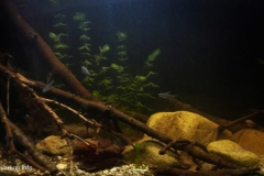 South_America_Amazon_River_basin_Orinoco_River_1-1024x543