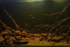 South_America_Amazon_River_basin_Tapajos_Riverbed_1-1024x408