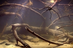 The_Republic_of_Suriname_Gran_Rio_the_tributary_of_the_River_Suriname_downstream_from_the_Avadana_rapids_1-1024x369