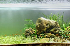 The_Tocantins_River_basin_1-1024x372