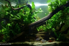 Tributary_of_the_Mamberamo_River_1-1024x604