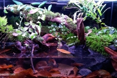 Under_the_waterfall_Ulu_Temburong_National_Park_Brunei_Borneo_Island_1-1