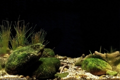 Wang_Suk_stream_Han_river_branch_South_Korea_1-1024x713