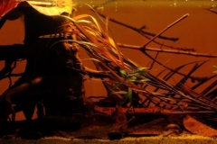 A_forest_brook_emptying_into_Igarape_Yavuari_a_tributary_of_the_Rio_Uaupes_Brazil_1-1024x325 A_forest_brook_emptying_into_Igarape_Yavuari_a_tributary_of_the_Rio_Uaupes_Brazil_1-1024x325