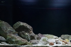 Chisanse_beach_North_side_of_Nkamba_bay_Lake_Tanganyika_Zambia_1-1024x459 Chisanse_beach_North_side_of_Nkamba_bay_Lake_Tanganyika_Zambia_1-1024x459