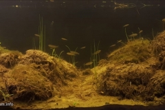 Flooded_area_in_El_Culebron_wetland_protected_area_in_Coquimbo_Chile_1-1024x488 Flooded_area_in_El_Culebron_wetland_protected_area_in_Coquimbo_Chile_1-1024x488