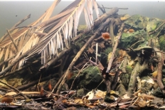 Halda_River_сannal_Bangladesh_1-1024x451 Halda_River_сannal_Bangladesh_1-1024x451