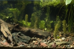 Lateral_channel_near_Zadubravlje_village_Croatia_1-1024x340 Lateral_channel_near_Zadubravlje_village_Croatia_1-1024x340