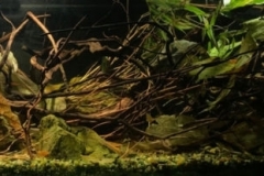 Lotus_Mountain_Stream_Shanwei_Guangdong_Province_China_1-1024x207 Lotus_Mountain_Stream_Shanwei_Guangdong_Province_China_1-1024x207