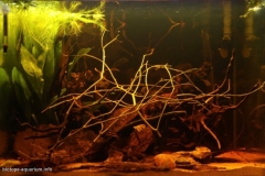 Orinoco_river_Colombia_South_America_1-1024x676 Orinoco_river_Colombia_South_America_1-1024x676