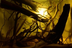 Rio_Caroni_Orinoco_tributary_Venezuela_1-1024x858 Rio_Caroni_Orinoco_tributary_Venezuela_1-1024x858