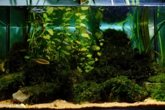 Rio_Liz_spring_area_Leiria_Portugal_1-1024x551 Rio_Liz_spring_area_Leiria_Portugal_1-1024x551