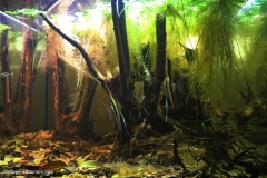 Rio_Nanay_Rio_Itaya_Rio_Mamon_meeting_Iquitos_1-1024x687 Rio_Nanay_Rio_Itaya_Rio_Mamon_meeting_Iquitos_1-1024x687