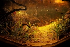 Rio_Unini_and_junction_to_the_basin_of_Rio_Negro_Brazil_1-1024x356 Rio_Unini_and_junction_to_the_basin_of_Rio_Negro_Brazil_1-1024x356