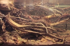 Rocky_shallow_water_The_confluence_of_the_rivers_Kumaradhara_and_Netravati_near_the_city_of_Appinanagadi_Karnataka_India_1-1024x326 Rocky_shallow_water_The_confluence_of_the_rivers_Kumaradhara_and_Netravati_near_the_city_of_Appinanagadi_Karnataka_India_1-1024x326