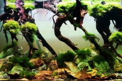 Santa_Ana_Nuevo_Leon_Mexico_1-1024x490 Santa_Ana_Nuevo_Leon_Mexico_1-1024x490