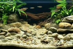 Shallow_part_of_Lata_Kekabu_hill_stream_in_Lenggong_Malaysia_1-1024x333 Shallow_part_of_Lata_Kekabu_hill_stream_in_Lenggong_Malaysia_1-1024x333