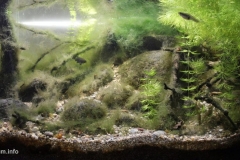 Slow-flowing_coastal_areas_of_Seyhan_River_Adana_Turkey_1_1-1024x484 Slow-flowing_coastal_areas_of_Seyhan_River_Adana_Turkey_1_1-1024x484